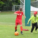 Krasov mednarodni turnir cicibanov in mlajših cicibanov