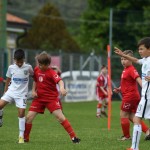 Krasov mednarodni turnir cicibanov in mlajših cicibanov