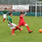 Krasov mednarodni turnir cicibanov in mlajših cicibanov