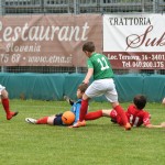 Krasov mednarodni turnir cicibanov in mlajših cicibanov