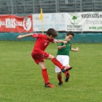 Krasov mednarodni turnir cicibanov in mlajših cicibanov