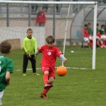 Krasov mednarodni turnir cicibanov in mlajših cicibanov