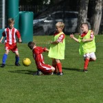 Krasov mednarodni turnir cicibanov in mlajših cicibanov