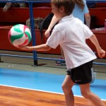 Volley Mania