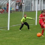 Krasov mednarodni turnir cicibanov in mlajših cicibanov