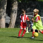 Krasov mednarodni turnir cicibanov in mlajših cicibanov