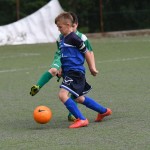 Krasov mednarodni turnir cicibanov in mlajših cicibanov