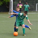 Krasov mednarodni turnir cicibanov in mlajših cicibanov