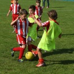 Krasov mednarodni turnir cicibanov in mlajših cicibanov