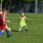 Krasov mednarodni turnir cicibanov in mlajših cicibanov