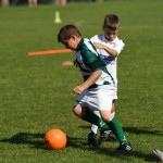 Krasov mednarodni turnir cicibanov in mlajših cicibanov