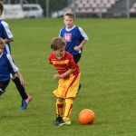 Krasov mednarodni turnir cicibanov in mlajših cicibanov