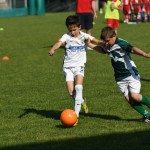 Krasov mednarodni turnir cicibanov in mlajših cicibanov