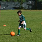 Krasov mednarodni turnir cicibanov in mlajših cicibanov