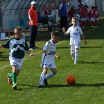 Krasov mednarodni turnir cicibanov in mlajših cicibanov