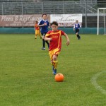 Krasov mednarodni turnir cicibanov in mlajših cicibanov