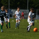 Krasov mednarodni turnir cicibanov in mlajših cicibanov