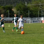 Krasov mednarodni turnir cicibanov in mlajših cicibanov