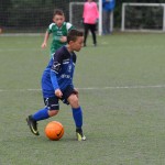 Krasov mednarodni turnir cicibanov in mlajših cicibanov