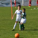 Krasov mednarodni turnir cicibanov in mlajših cicibanov