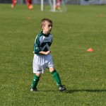 Krasov mednarodni turnir cicibanov in mlajših cicibanov