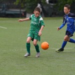 Krasov mednarodni turnir cicibanov in mlajših cicibanov