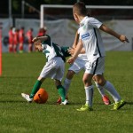 Krasov mednarodni turnir cicibanov in mlajših cicibanov