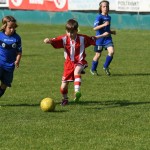 Krasov mednarodni turnir cicibanov in mlajših cicibanov