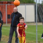 Krasov mednarodni turnir cicibanov in mlajših cicibanov