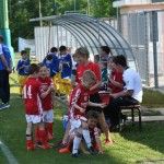 Krasov mednarodni turnir cicibanov in mlajših cicibanov