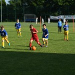 Krasov mednarodni turnir cicibanov in mlajših cicibanov