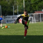 Krasov mednarodni turnir cicibanov in mlajših cicibanov