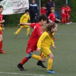 Krasov mednarodni turnir cicibanov in mlajših cicibanov