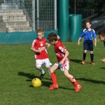 Krasov mednarodni turnir cicibanov in mlajših cicibanov