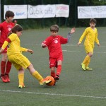 Krasov mednarodni turnir cicibanov in mlajših cicibanov