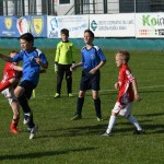 Krasov mednarodni turnir cicibanov in mlajših cicibanov