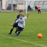 Krasov mednarodni turnir cicibanov in mlajših cicibanov