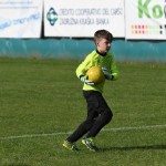 Krasov mednarodni turnir cicibanov in mlajših cicibanov