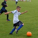 Krasov mednarodni turnir cicibanov in mlajših cicibanov