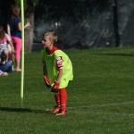 Krasov mednarodni turnir cicibanov in mlajših cicibanov