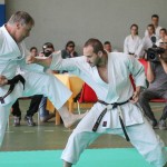 Shinkai club - Mednarodni pokal Zgonik