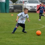 Krasov mednarodni turnir cicibanov in mlajših cicibanov