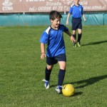 Krasov mednarodni turnir cicibanov in mlajših cicibanov