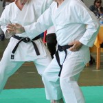 Shinkai club - Mednarodni pokal Zgonik