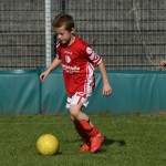 Krasov mednarodni turnir cicibanov in mlajših cicibanov