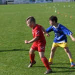 Krasov mednarodni turnir cicibanov in mlajših cicibanov