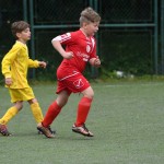 Krasov mednarodni turnir cicibanov in mlajših cicibanov