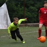 Krasov mednarodni turnir cicibanov in mlajših cicibanov