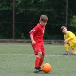 Krasov mednarodni turnir cicibanov in mlajših cicibanov