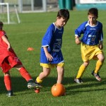 Krasov mednarodni turnir cicibanov in mlajših cicibanov